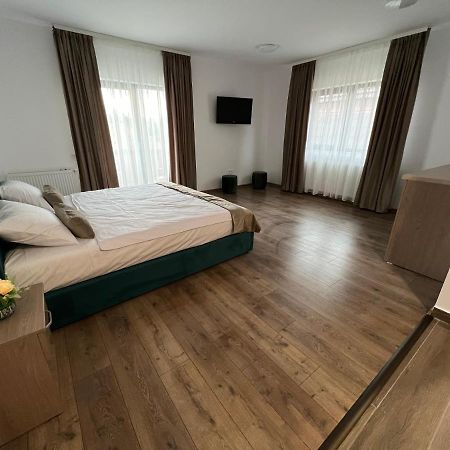 Aparthotel Plevnei 3 克卢日-纳波卡 外观 照片