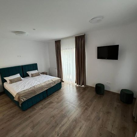 Aparthotel Plevnei 3 克卢日-纳波卡 外观 照片