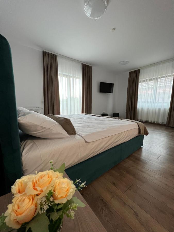 Aparthotel Plevnei 3 克卢日-纳波卡 外观 照片