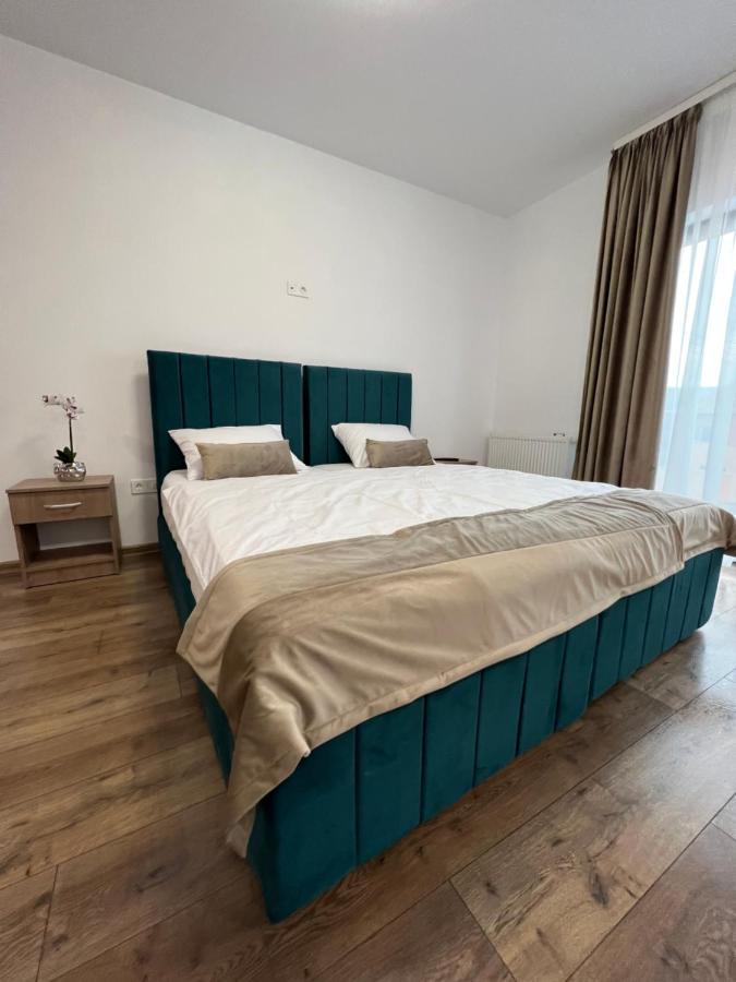 Aparthotel Plevnei 3 克卢日-纳波卡 外观 照片