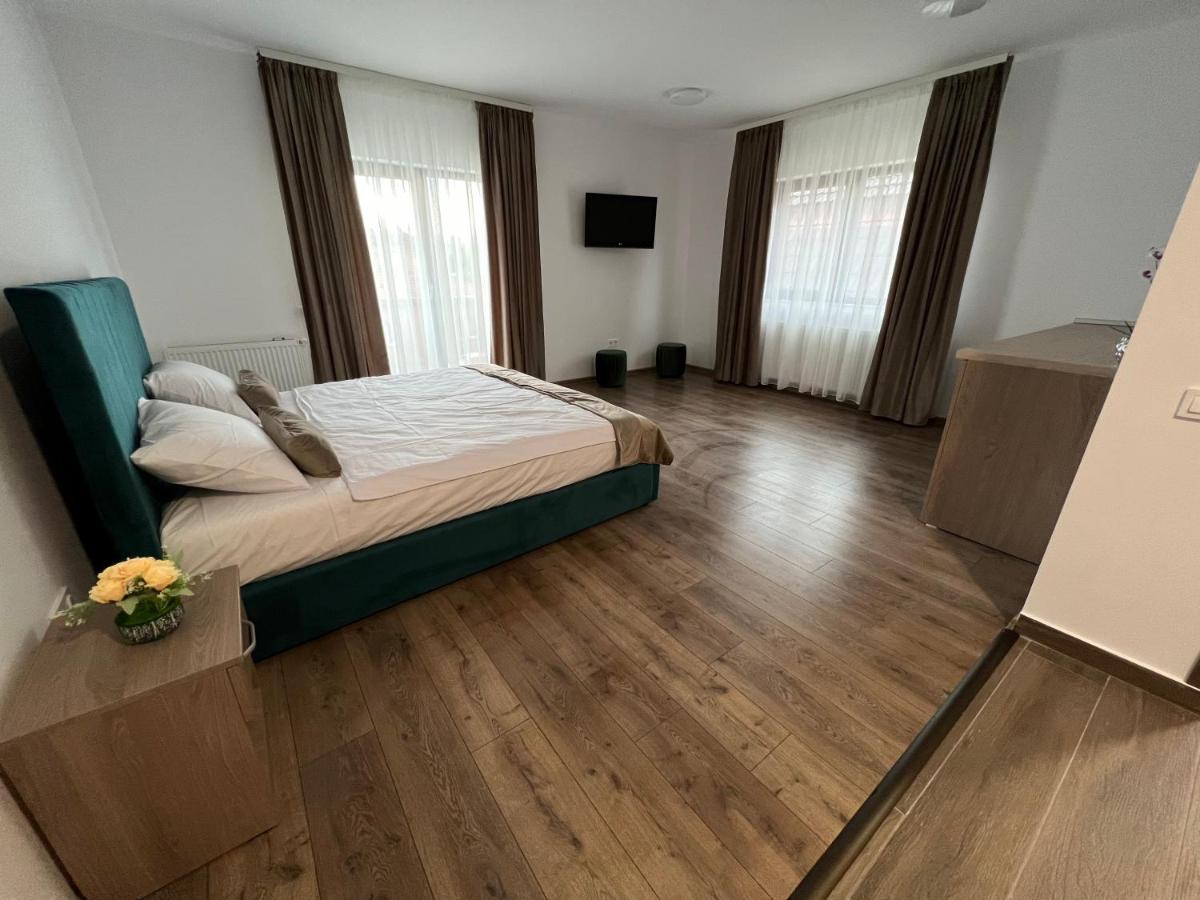 Aparthotel Plevnei 3 克卢日-纳波卡 外观 照片