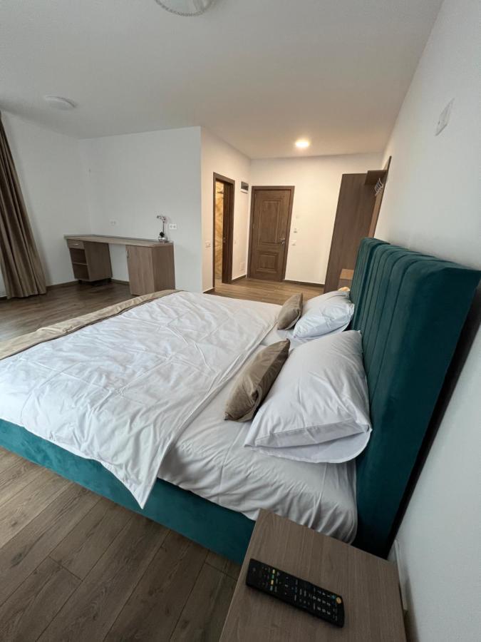 Aparthotel Plevnei 3 克卢日-纳波卡 外观 照片