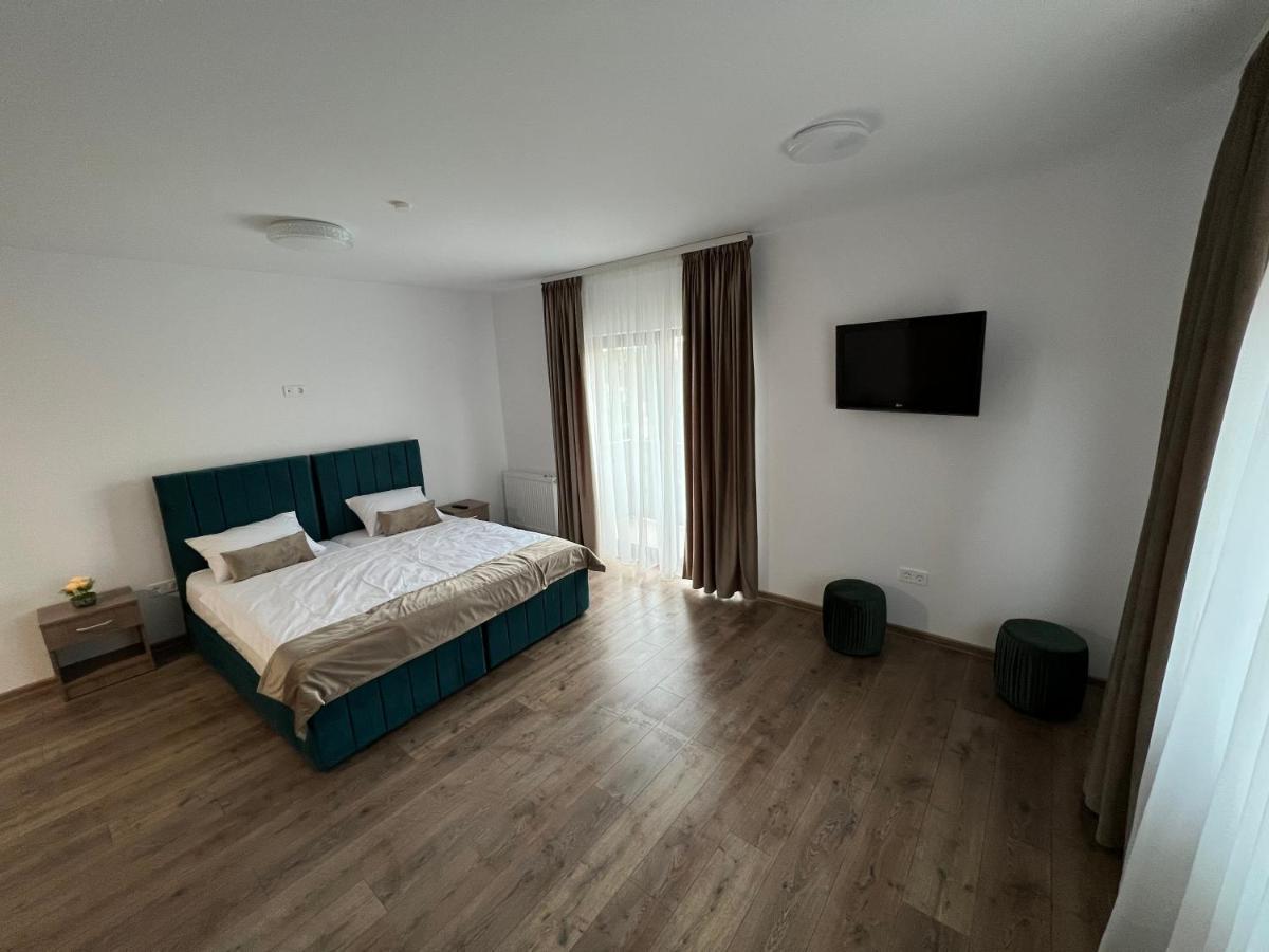 Aparthotel Plevnei 3 克卢日-纳波卡 外观 照片